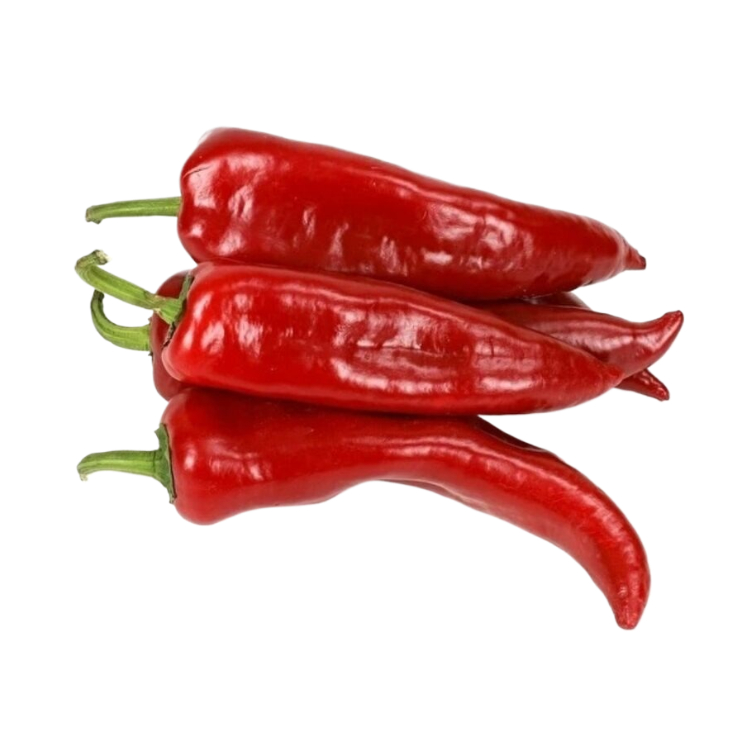 Paprika rouge long