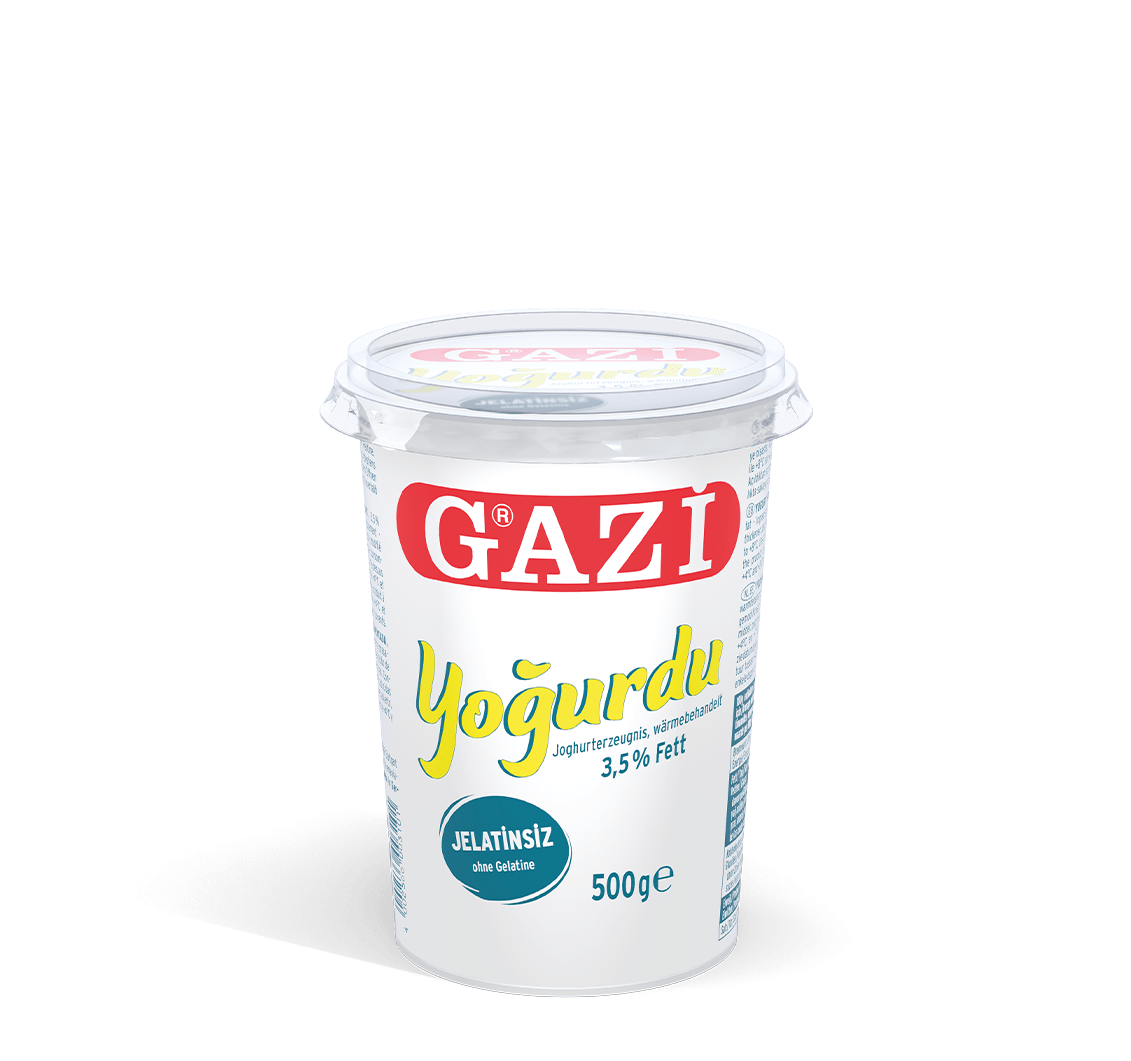 Gazi yoğurdu 500g