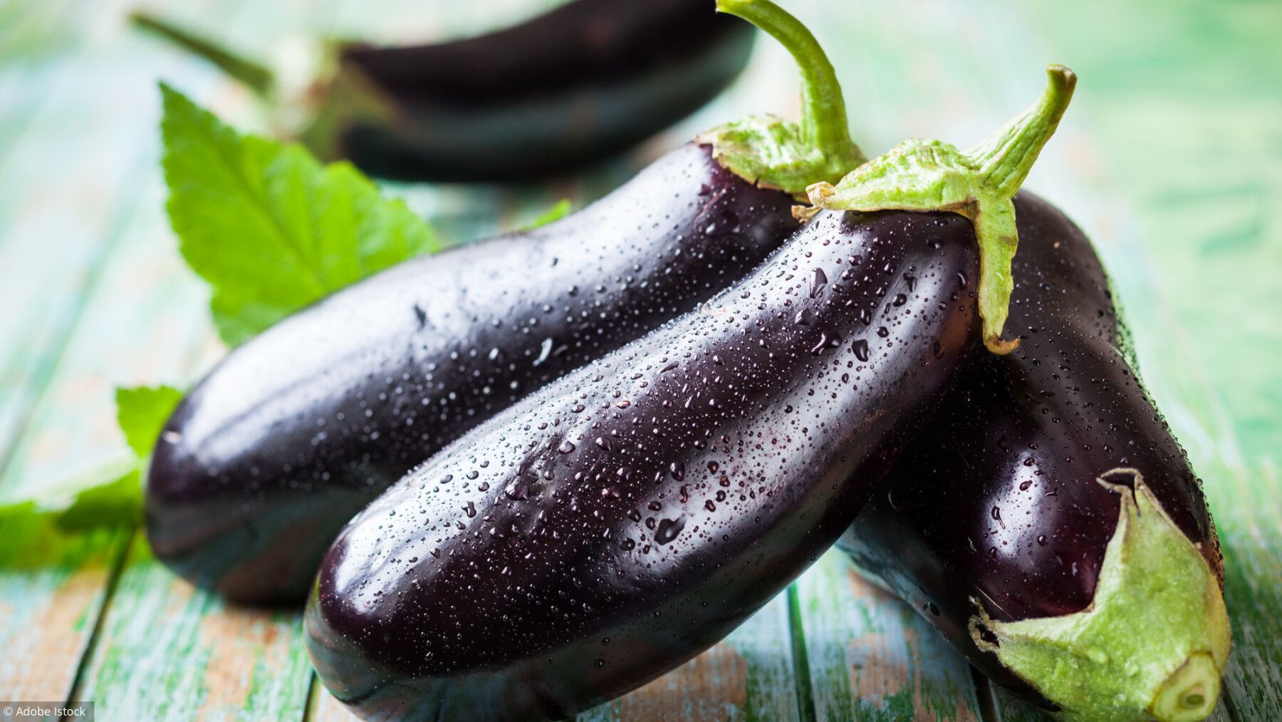 Aubergine