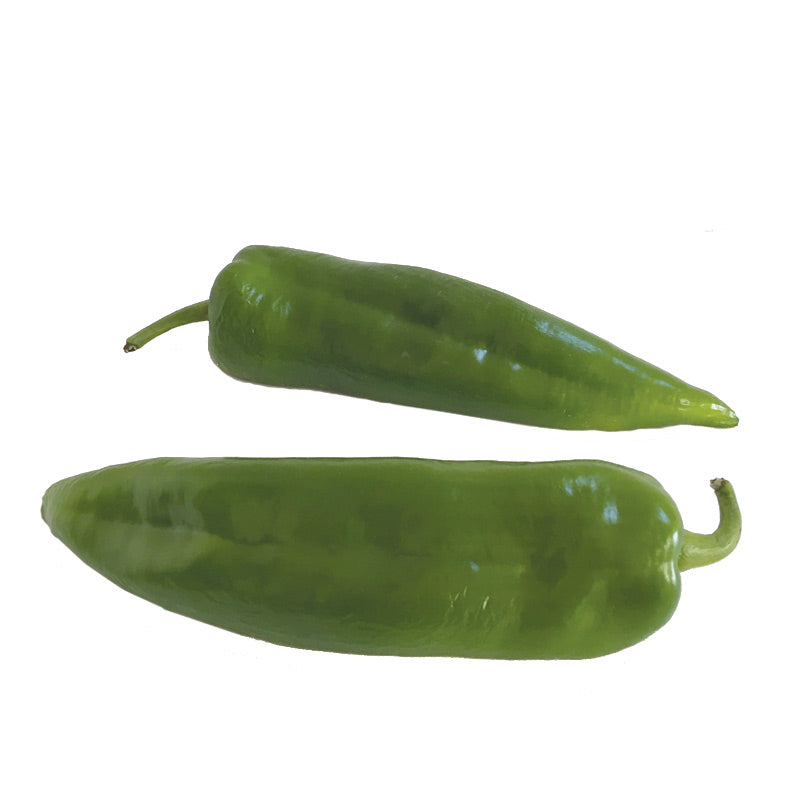 Paprika vert long