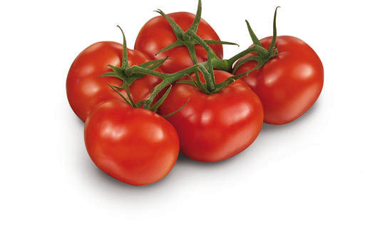 Tomate grappe